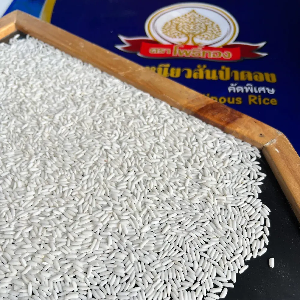 ข้าวเหนียวสันป่าตอง copy 3_14