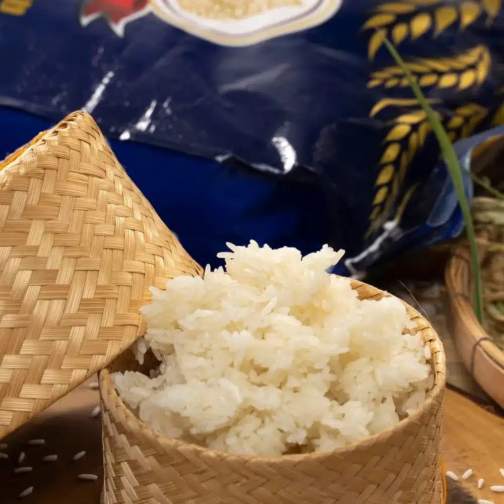 ข้าวเหนียวสันป่าตอง copy_15