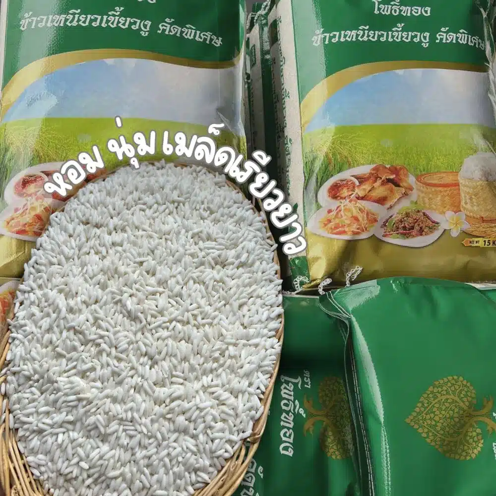 ข้าวเหนียวเขี้ยวงู copy 3_10