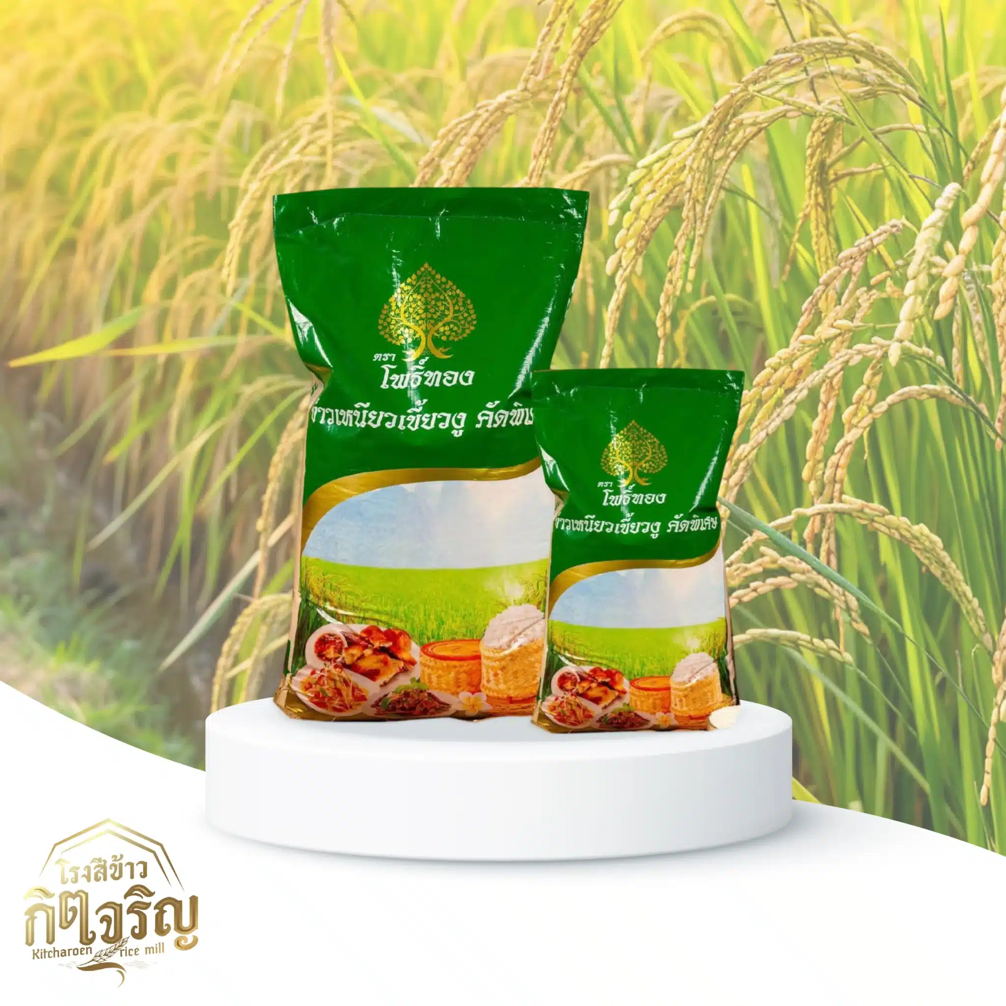 ข้าวเหนียวเขี้ยวงู