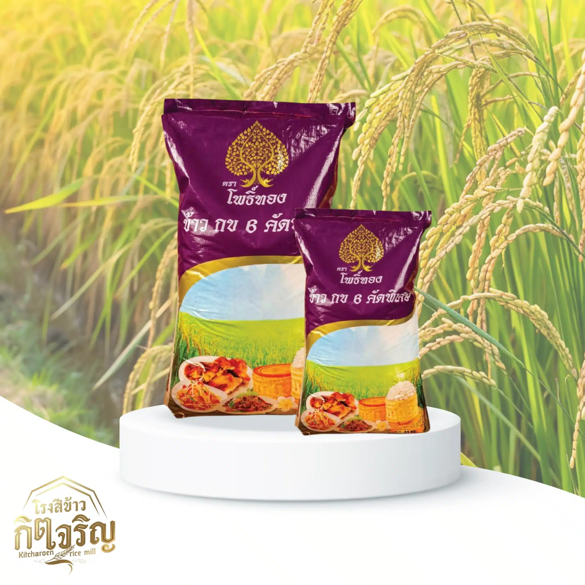 ข้าวเหนียวกข6