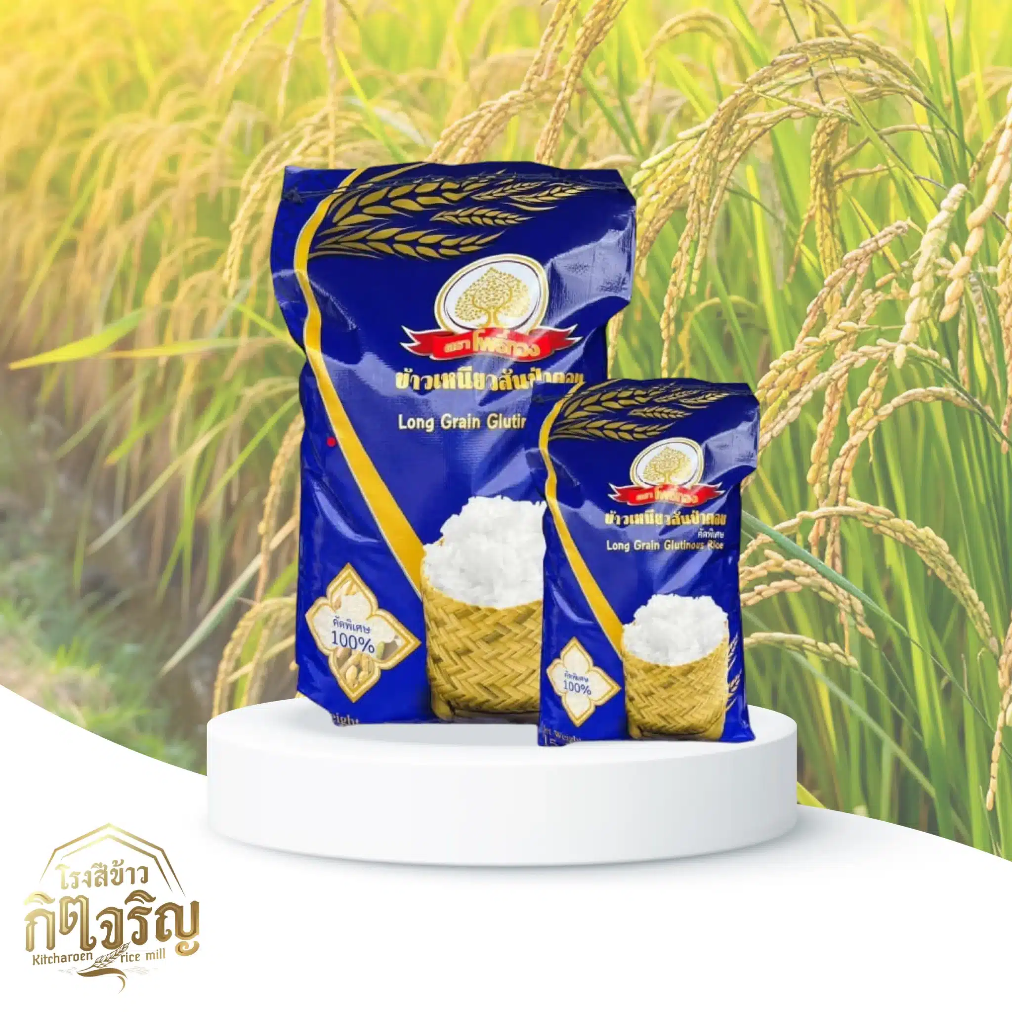 ข้าวเหนียวสันป่าตอง