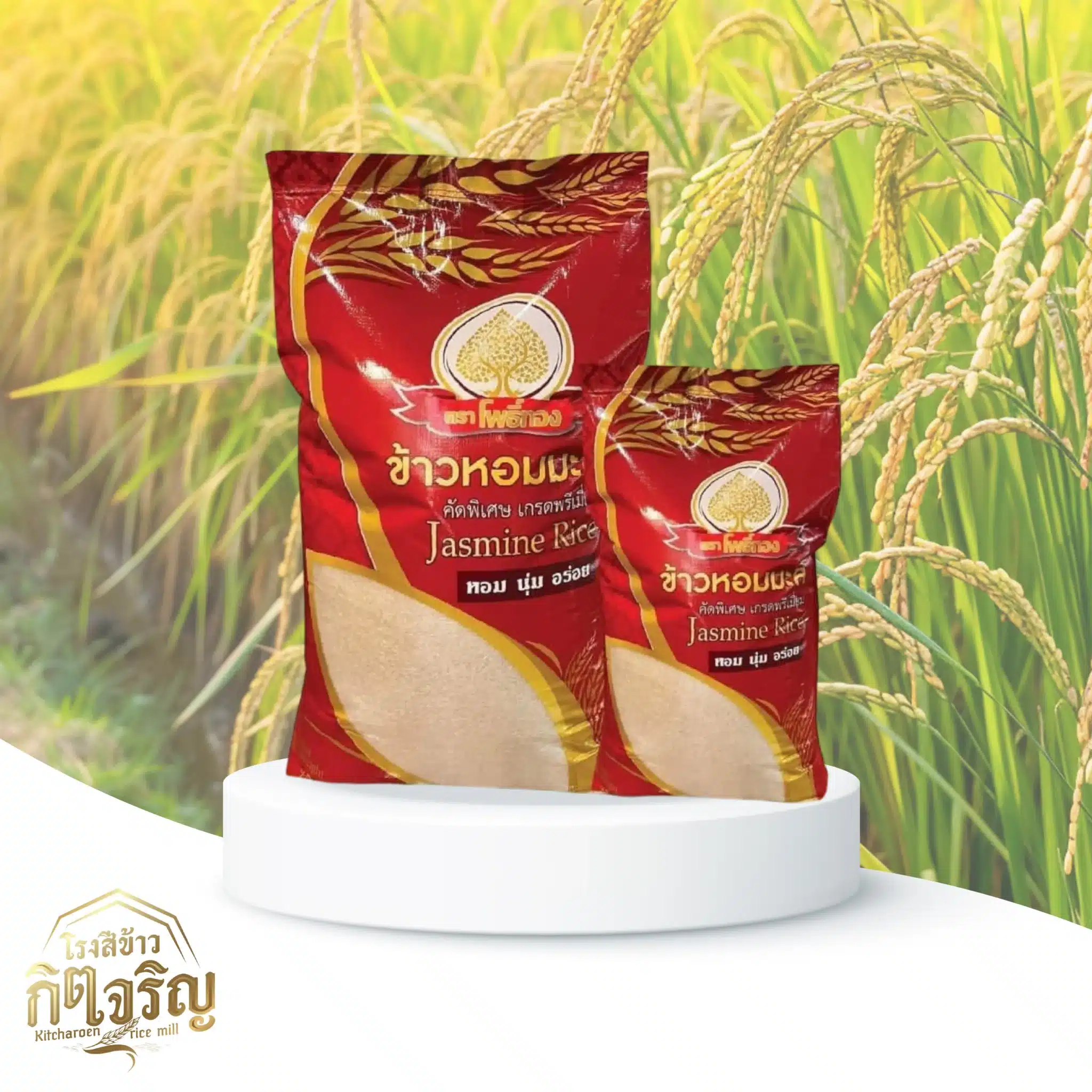ข้าวหอมมะลิคัดพิเศษ